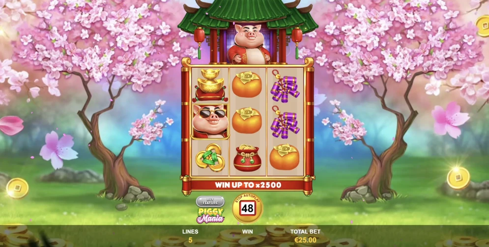 Piggy Mania Slot