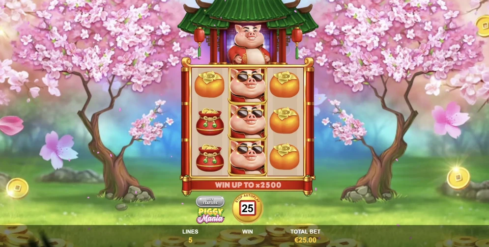 Piggy Mania Slot